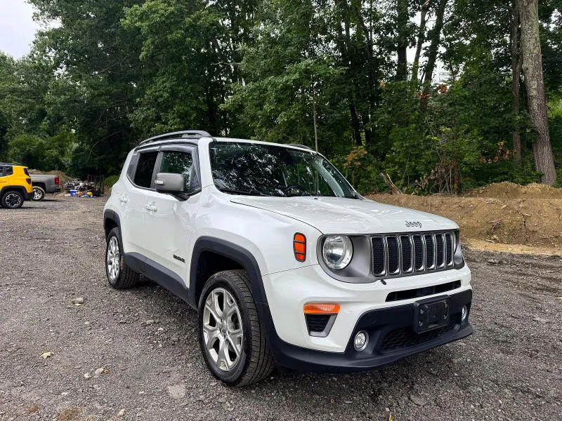 2019 JEEP RENEGADE VIN ZACNJBD11KPK03104 фото 1