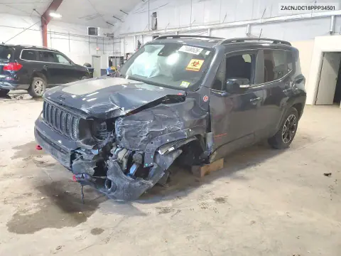 2023 Jeep Renegade Trailhawk VIN ZACNJDC18PPP34501 фото 1