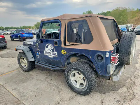 2001 JEEP WRANGLER / TJ VIN 1J4FA29P71P340090 фото 2
