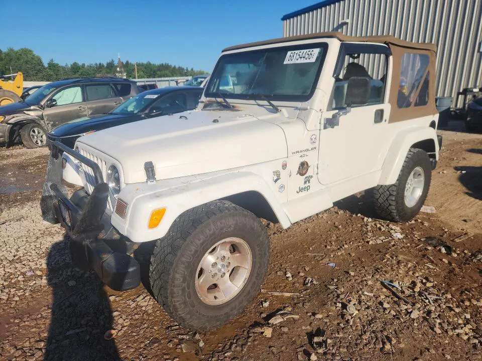 2001 JEEP WRANGLER / TJ VIN 1J4FA59S41P310146 фото 1