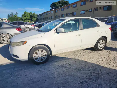 KNAFT4A29A5306852 Kia Forte 2010 — повреждение Мелкие вмятины и царапины, фото до ремонта