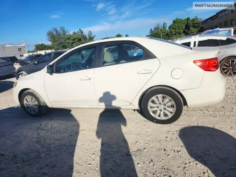 KNAFT4A29A5306852 — 2010 Kia Forte, фото 2 с аукциона Copart, Мелкие вмятины и царапины