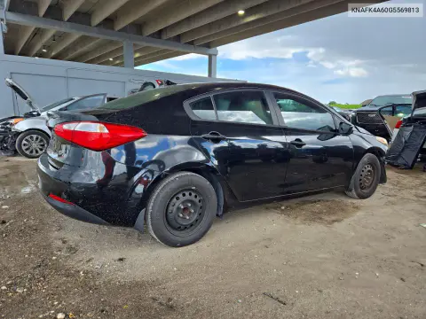 2016 Kia Forte Lx VIN KNAFK4A60G5569813 фото 3