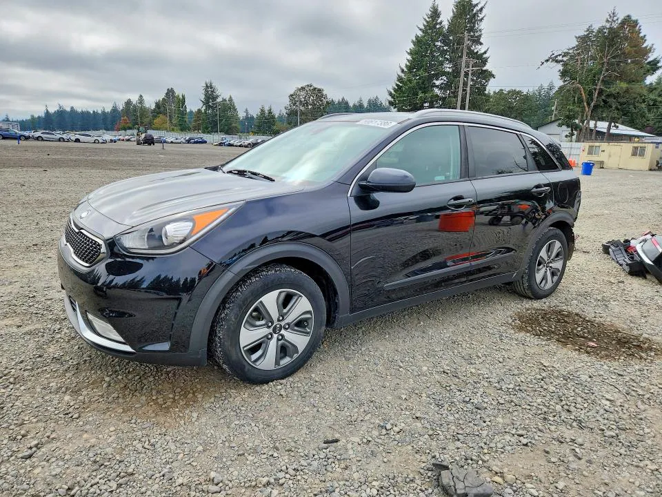 2019 KIA Niro VIN KNDCB3LCXK5258028 фото 1