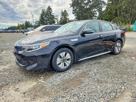KNAGT4LE2H5019147 — 2017 Kia Optima, Задняя часть (Rear End), фото до ремонта