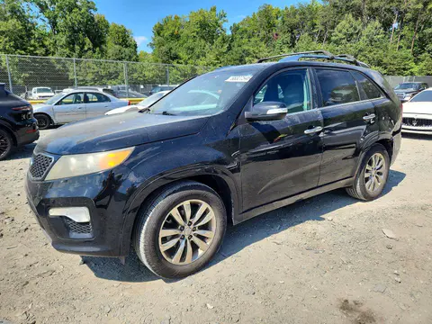 5XYKW4A23BG172146 — 2011 Kia Sorento, Передняя часть (Front End), фото до ремонта