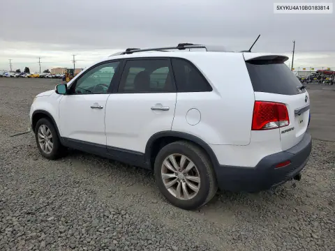2011 Kia Sorento Ex VIN 5XYKU4A10BG183814 фото 2