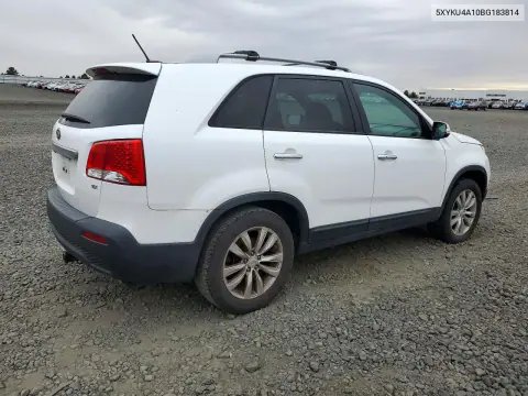 2011 Kia Sorento Ex VIN 5XYKU4A10BG183814 фото 3
