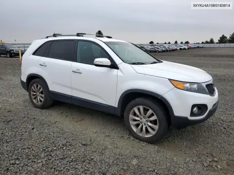 2011 Kia Sorento Ex VIN 5XYKU4A10BG183814 фото 4