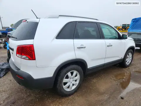 5XYKTDA22BG130592 — 2011 Kia Sorento, фото 3 с аукциона Copart, Верхняя часть / Крыша