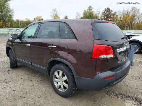 2011 Kia Sorento Lx VIN 5XYKT3A18BG103608 фото 2