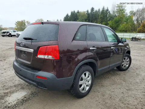 2011 Kia Sorento Lx VIN 5XYKT3A18BG103608 фото 3