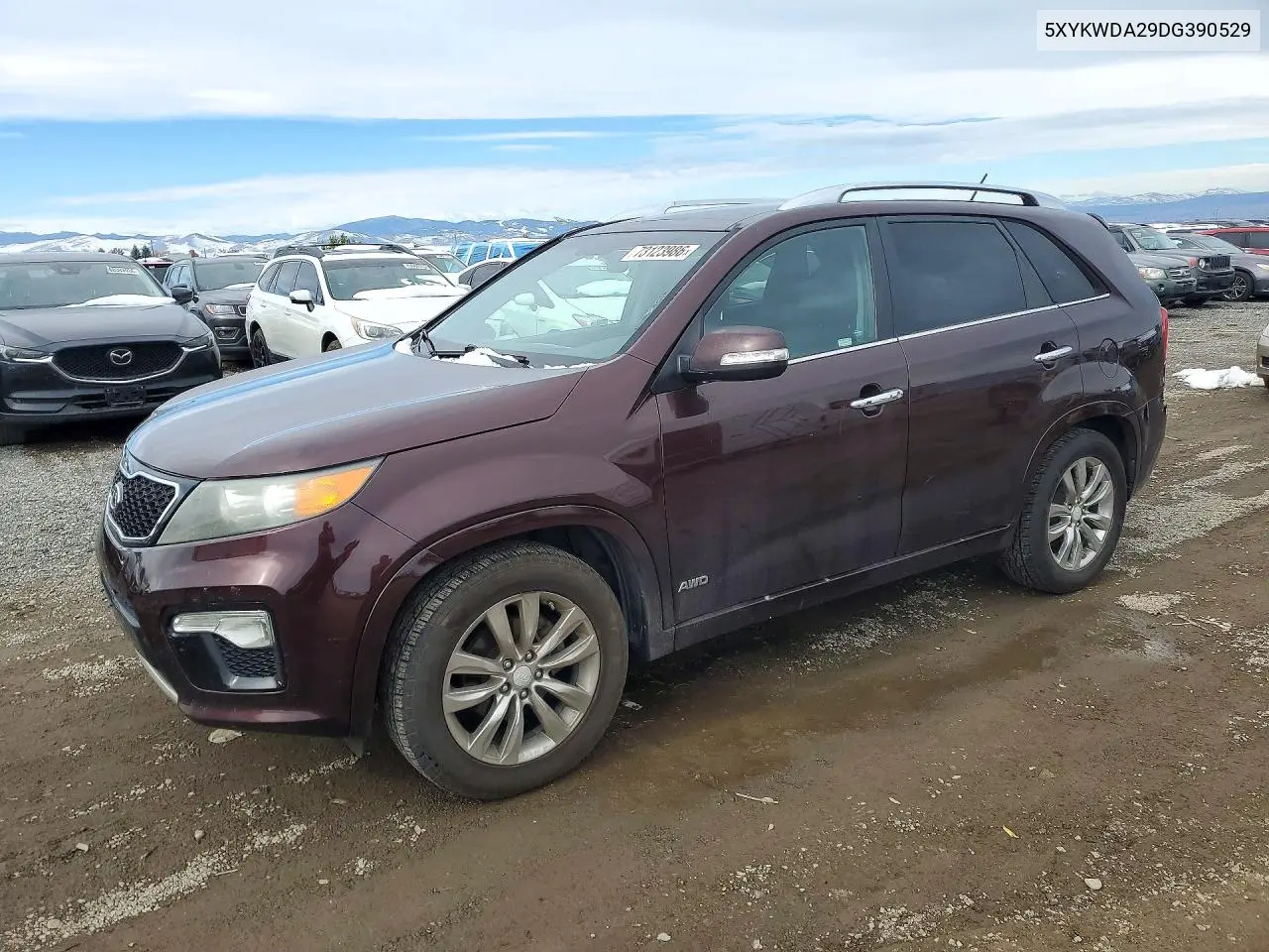 5XYKWDA29DG390529 Kia Sorento 2013 — повреждение Сторона, фото до ремонта