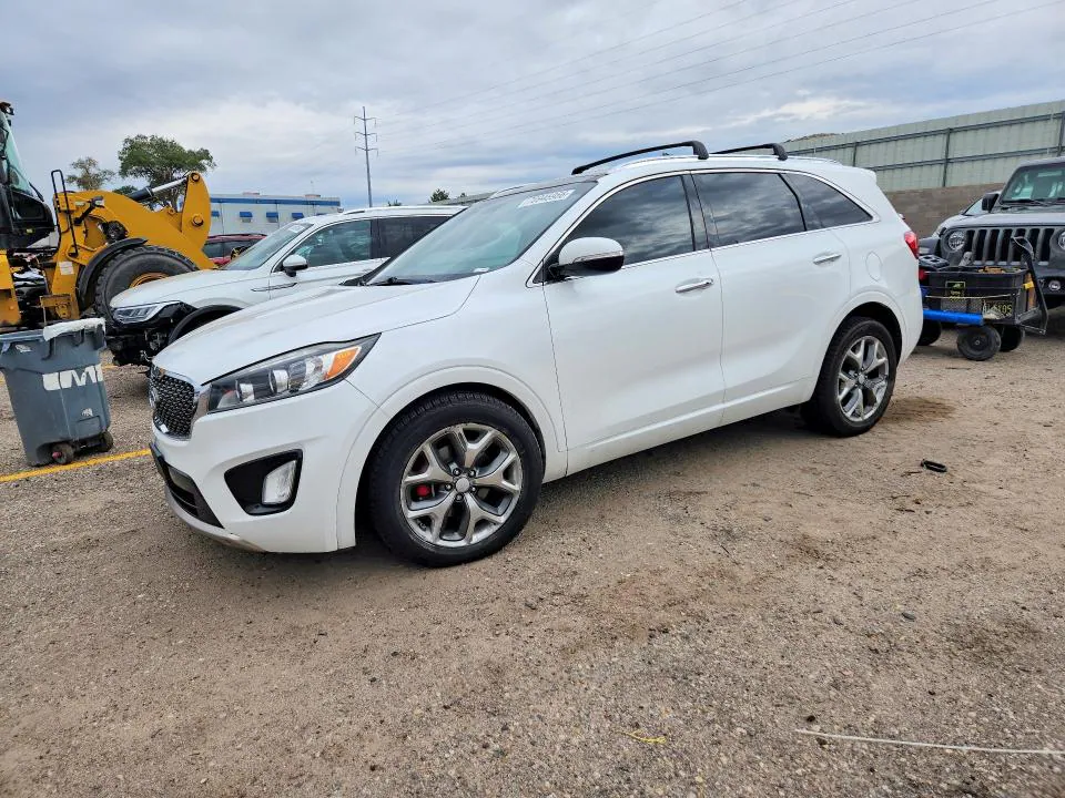 2016 KIA Sorento VIN 5XYPK4A59GG048417 фото 1