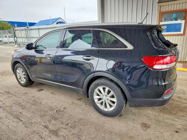 5XYPGDA31HG257314 — 2017 Kia Sorento, фото 2 с аукциона Copart, Задняя часть