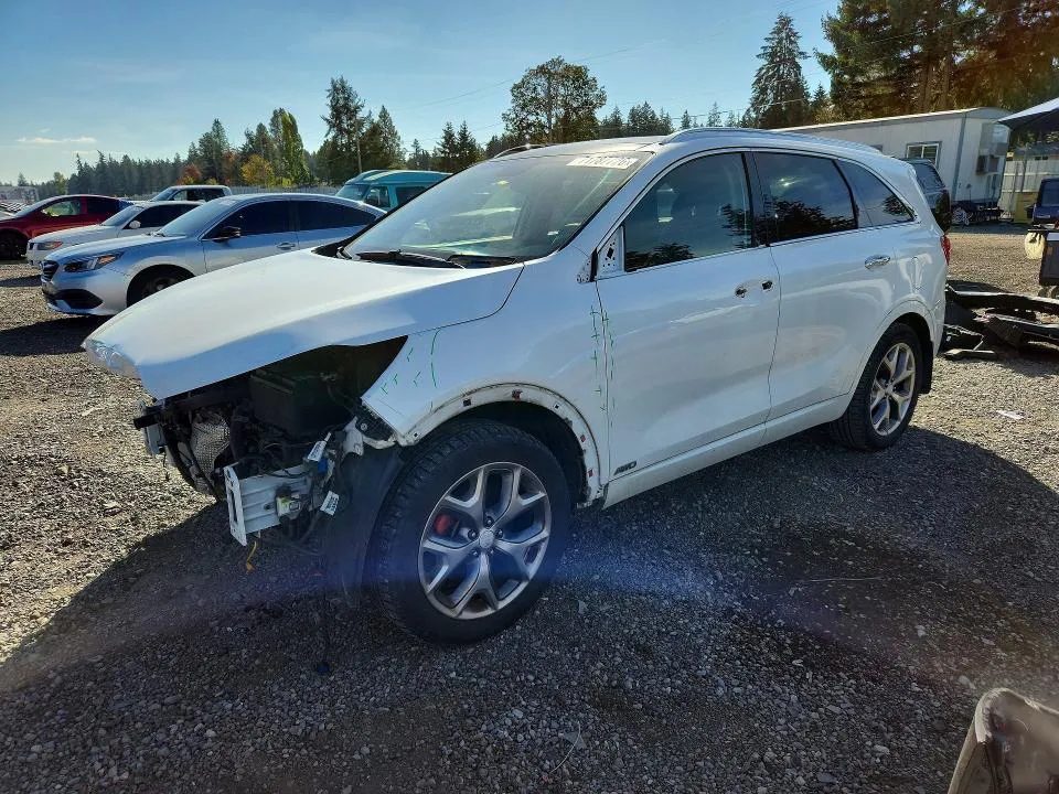 2017 KIA Sorento VIN 5XYPKDA59HG311281 фото 1