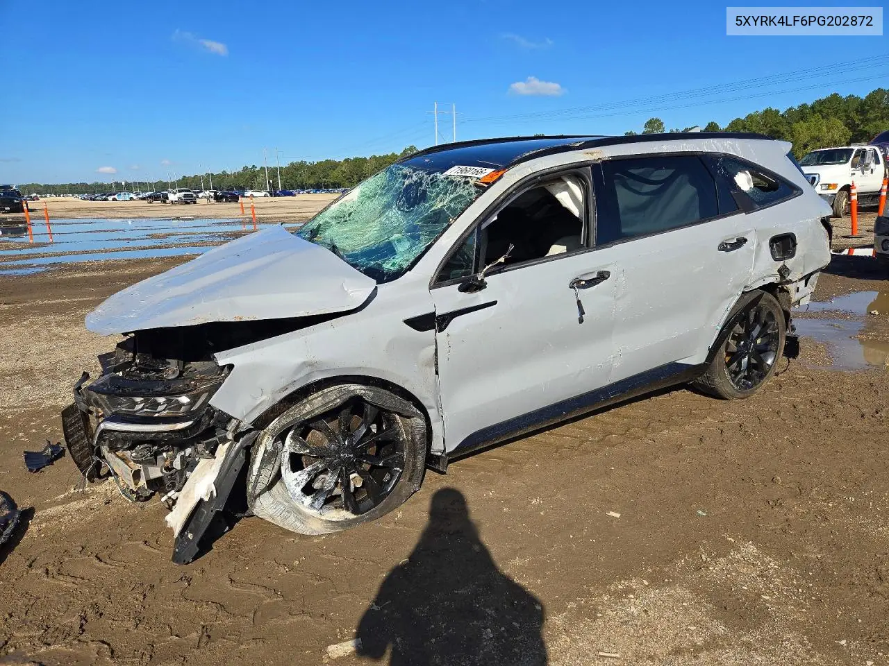 2023 Kia Sorento Sx VIN 5XYRK4LF6PG202872 фото 1