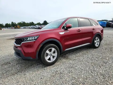 5XYRG4LC9PG163671 — 2023 Kia Sorento, Задняя часть, фото до ремонта