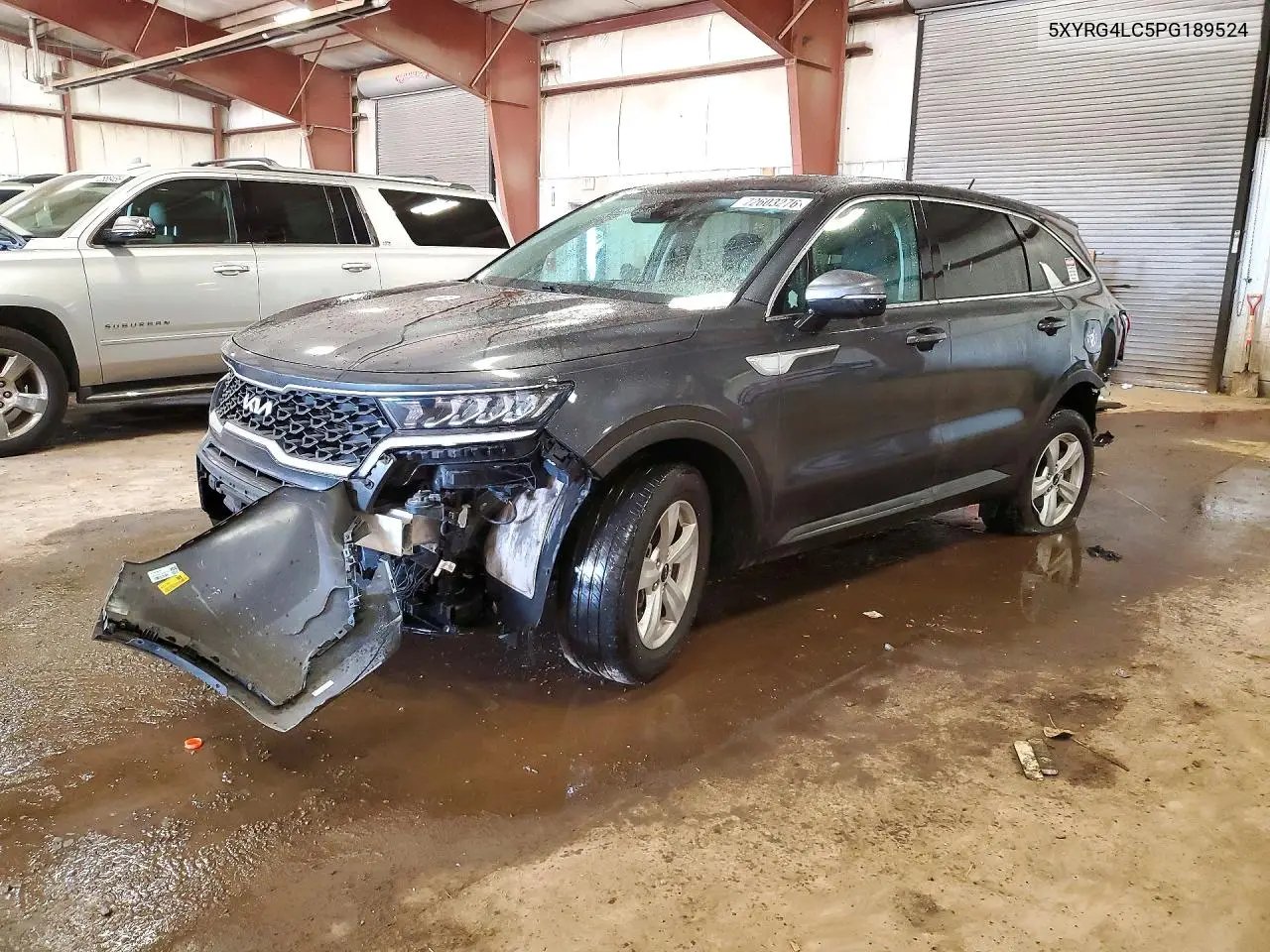 2023 Kia Sorento Lx VIN 5XYRG4LC5PG189524 фото 1