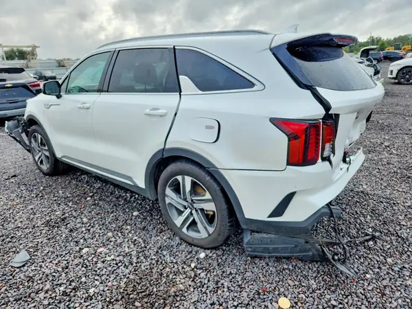 KNDRHDLG8R5235441 — 2024 Kia Sorento, фото 2 с аукциона Copart, Задняя часть