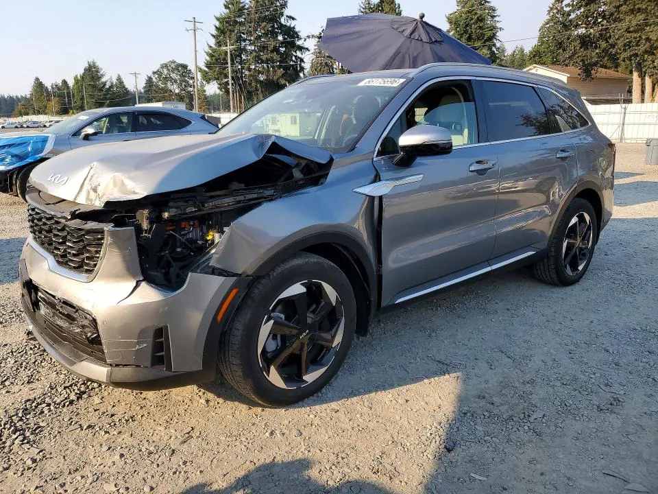 2025 KIA Sorento VIN KNDRJDJH5S5299314 фото 1