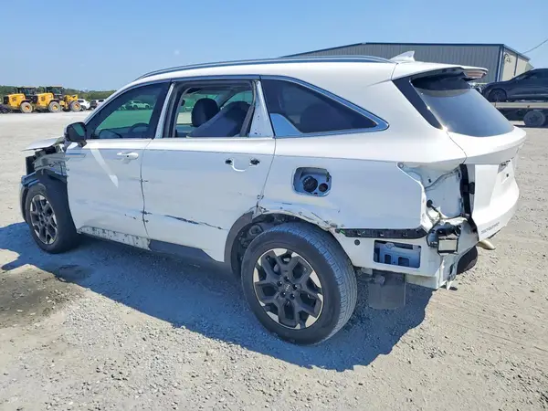 5XYRL4JC4SG354633 — 2025 Kia Sorento, фото 2 с аукциона Copart, Боковая часть