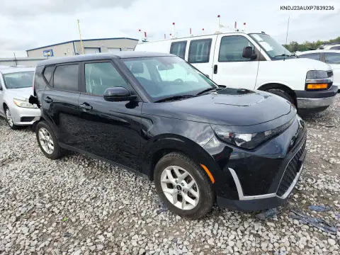 KNDJ23AUXP7839236 — 2023 Kia Soul, фото 4 с аукциона Copart, Задняя часть