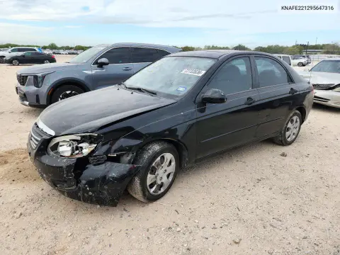 KNAFE221295647316 — 2009 Kia Spectra, Передняя часть, фото до ремонта