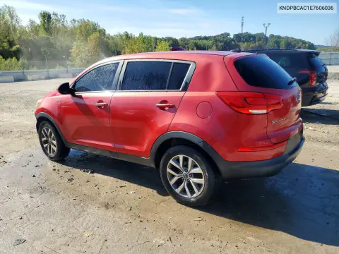 2014 Kia Sportage Lx VIN KNDPBCAC1E7606036 фото 2