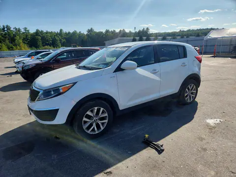 KNDPBCACXG7854451 — 2016 Kia Sportage, Задняя часть (Rear End), фото до ремонта