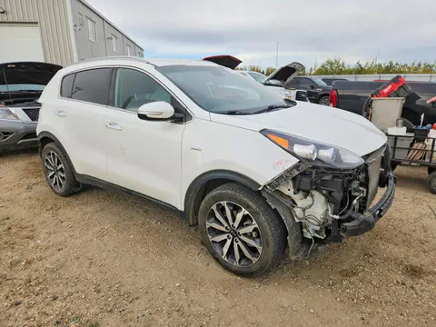 2019 KIA Sportage VIN KNDPNCAC9K7498221 фото 4
