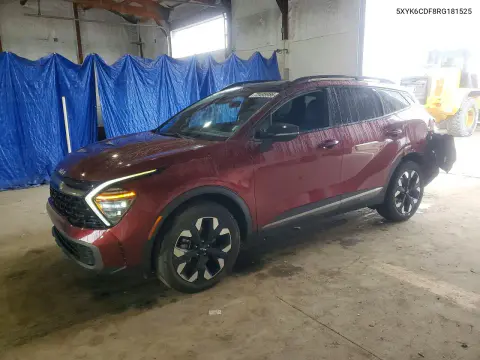5XYK6CDF8RG181525 — 2024 Kia Sportage, Задняя часть, фото до ремонта