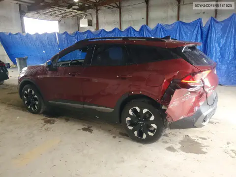 2024 Kia Sportage X Line VIN 5XYK6CDF8RG181525 фото 2