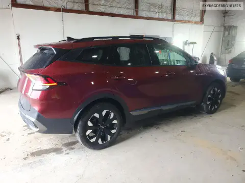 2024 Kia Sportage X Line VIN 5XYK6CDF8RG181525 фото 3
