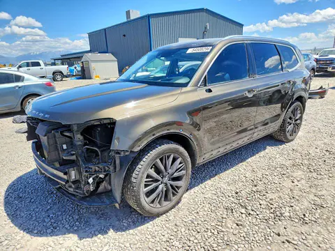 5XYP5DHC2LG067218 — 2020 Kia Telluride, Боковая часть (Side), фото до ремонта