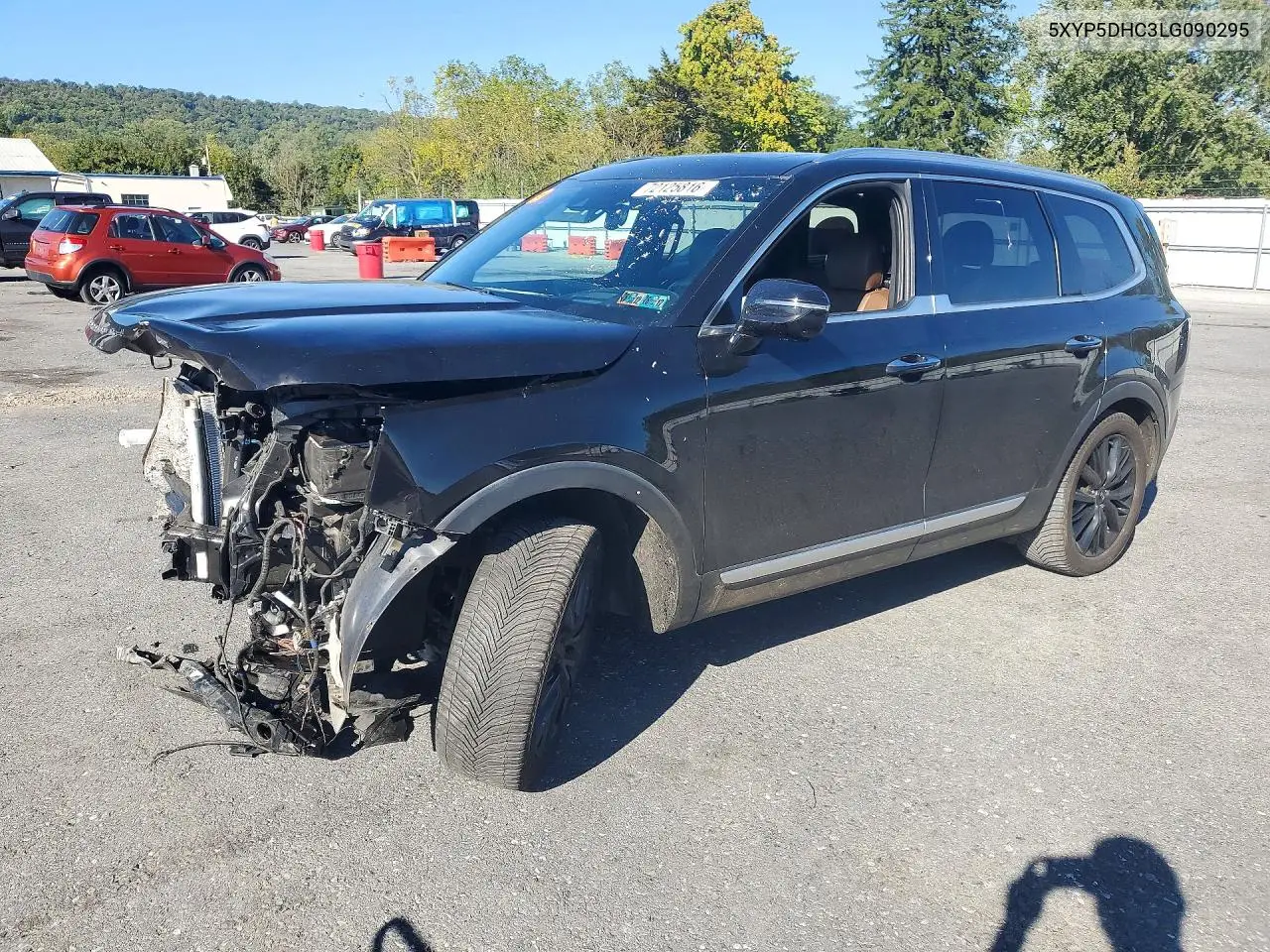 2020 Kia Telluride Sx VIN 5XYP5DHC3LG090295 фото 1