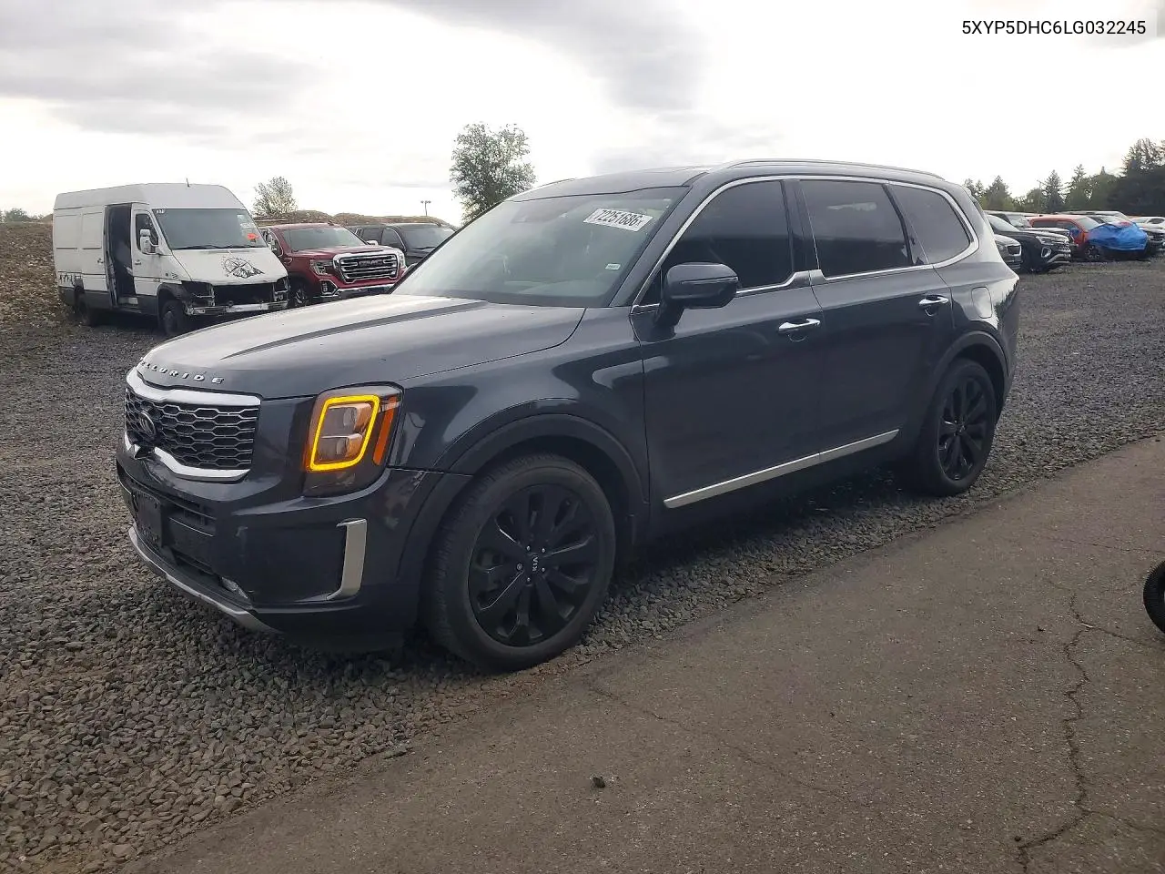 2020 Kia Telluride Sx VIN 5XYP5DHC6LG032245 фото 1