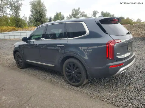 2020 Kia Telluride Sx VIN 5XYP5DHC6LG032245 фото 2