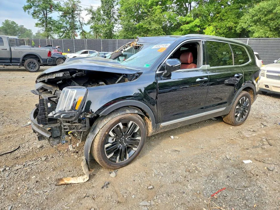 2023 KIA TELLURIDE VIN 5XYP5DGC4PG329649 фото 1
