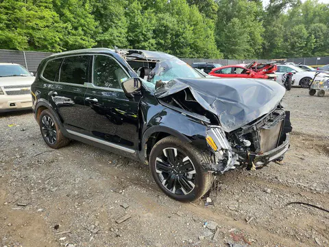 2023 KIA TELLURIDE VIN 5XYP5DGC4PG329649 фото 4
