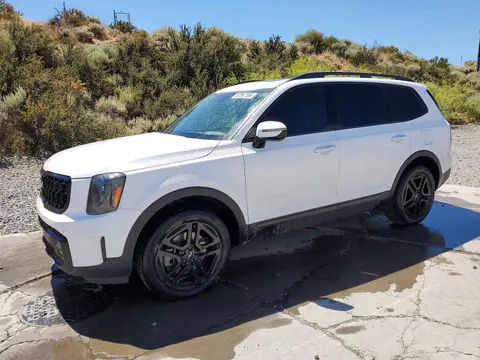 5XYP5DGCXRG550434 — 2024 Kia Telluride, Пожар двигателя (Burn - Engine), фото до ремонта