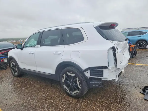 5XYP3DGC6RG411505 — 2024 Kia Telluride, фото 2 с аукциона Copart 28.09.2026, Задняя часть