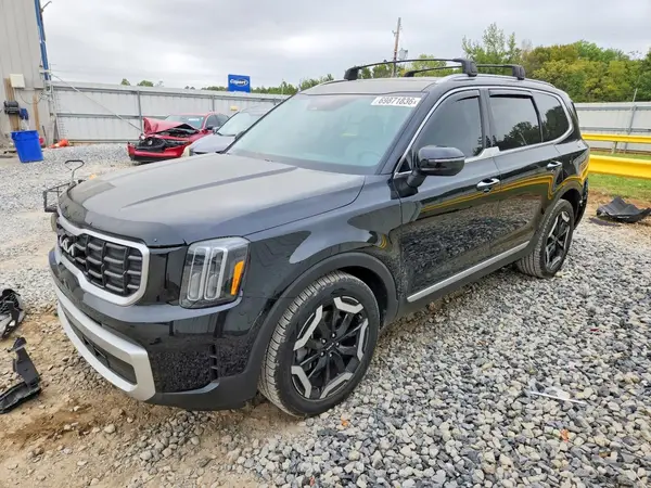 5XYP64GC1RG491531 — 2024 Kia Telluride, Задняя часть (Rear End), фото до ремонта