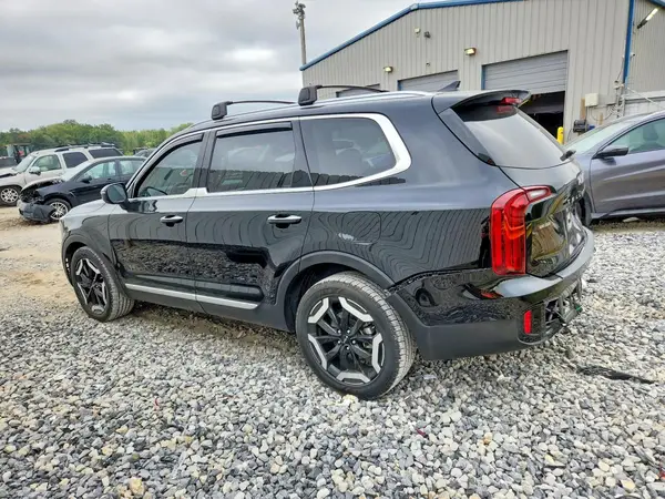 5XYP64GC1RG491531 — 2024 Kia Telluride, фото 2 с аукциона Copart, Задняя часть