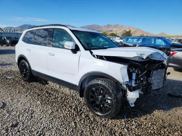 5XYP5DGC0RG521542 — 2024 Kia Telluride, фото 4 с аукциона Copart, Передняя часть