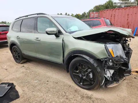 2024 Kia Telluride Ex X-Line VIN 5XYP3DGC5RG516973 фото 4