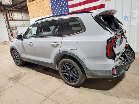 5XYP5DGC5SG732208 — 2025 Kia Telluride, фото 2 с аукциона Copart 29.09.2026, Задняя часть