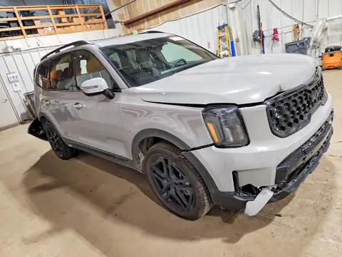 5XYP5DGC5SG732208 — 2025 Kia Telluride, фото 4 с аукциона Copart 29.09.2026, Задняя часть