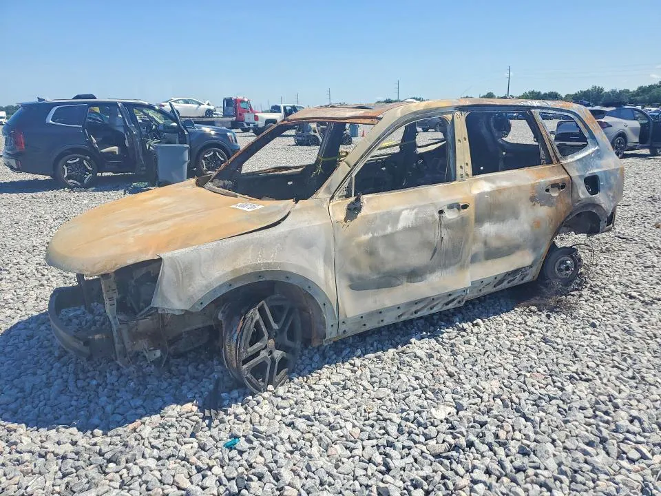 2025 KIA TELLURIDE VIN 5XYP3DGCXSG662436 фото 1