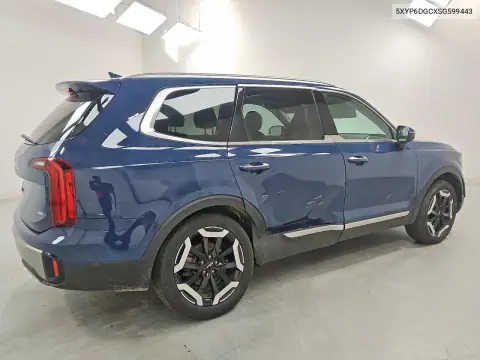 5XYP6DGCXSG599443 — 2025 Kia Telluride, фото 3 с аукциона Copart 15.10.2026, Боковая часть